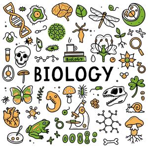  A level biology zimsec